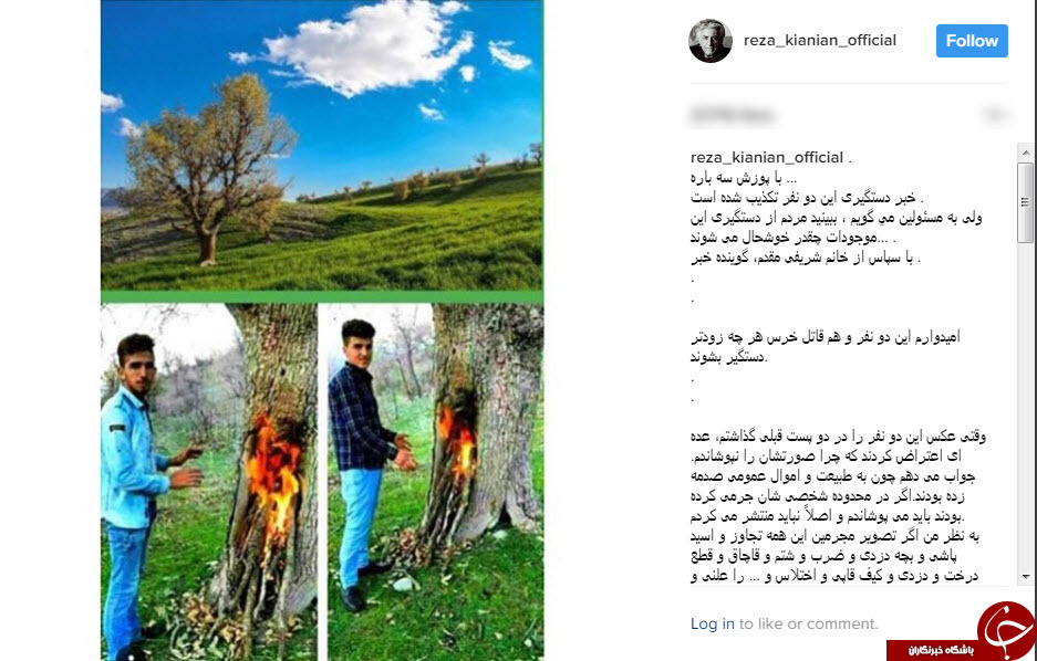 تکذیب دستگیری 2 جوان به دلیل آتش زدن درخت توسط رضا کیانیان