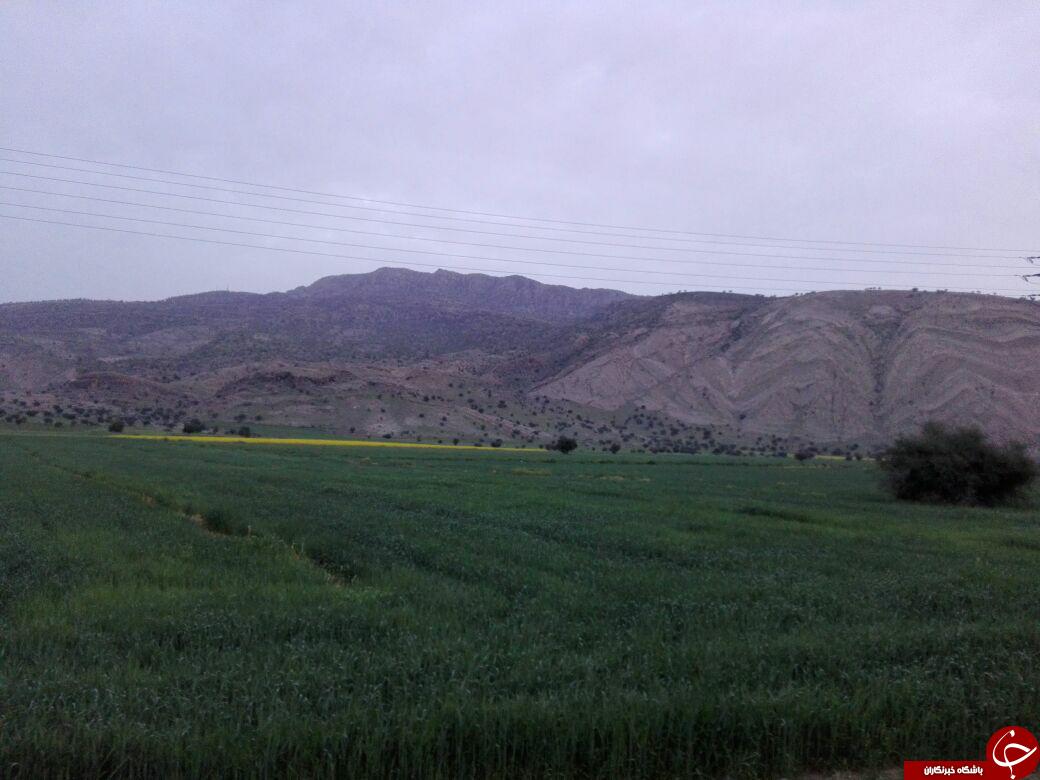 نمایی از طبیعت بهاری نورآباد + تصاویر