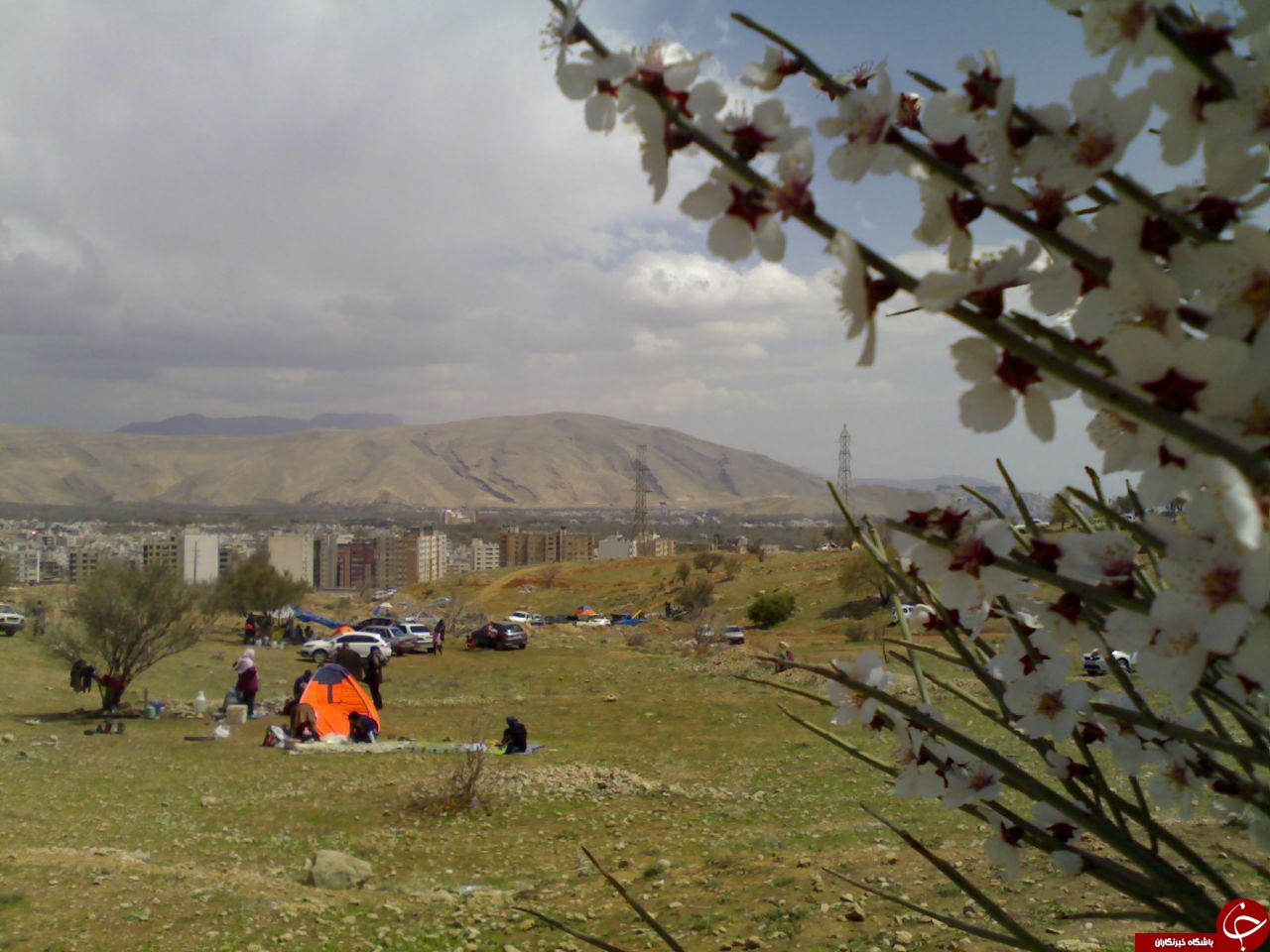 نمایی از طبیعت بهاری نورآباد + تصاویر