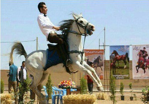 برگزاری همایش سراسری اسب های بومی فلات ایران