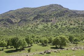 تکمیل زیرساخت&zwnj;های رفاهی پارک بلوط ایلام