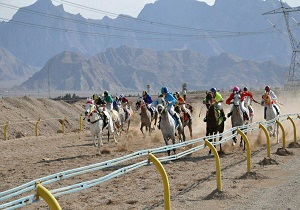 قهرمانی اسب میلان اشکذر در هفدهمین دوره از مسابقات سراسری کورس بهاره یزد