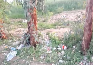 سوغات مسافران نوروزی برای طبیعت + فیلم