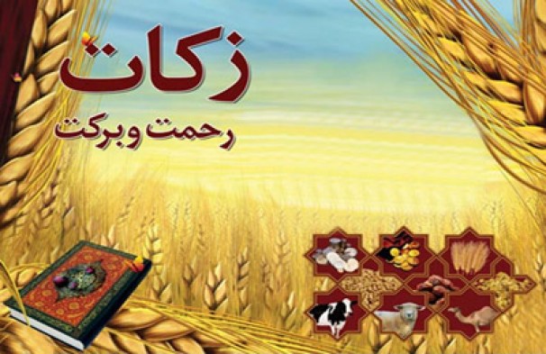 رشد 19 درصدی پرداخت زکات در آذربایجان شرقی