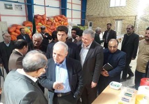 دولت زمینه سرمایه گذاری و اشتغال را در مناطق محروم فراهم کرده است