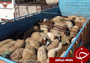 نگاهی گذرا به مهمترین رویدادهای یکم فروردین در مازندران