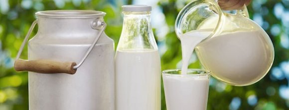 دور مواد لبنی بی&zwnj;کیفیت و فله&zwnj;ای را خط بکشید/ پولتان را خرج عسل تقلبی نکنید
