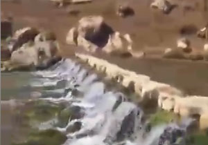 چشمه زیبای «دیمه» در کوهرنگ + فیلم