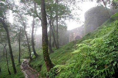 تجهیز ۵۰ هکتار بوستان جنگلی گلوبردکان شهرستان جم