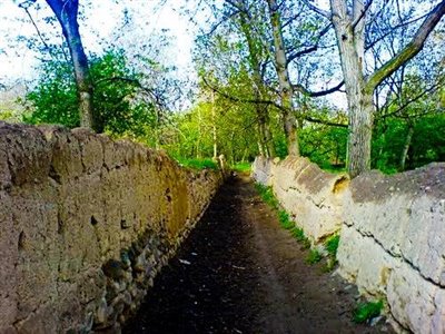 3/ شهرستان ویِژه مرند
