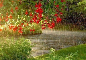 بارش باران و بادشدید پیش بینی هواشناسی برای سمنان