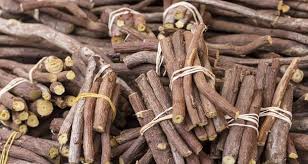 کشف 5 تن ريشه شيرين بيان در ارزوئيه