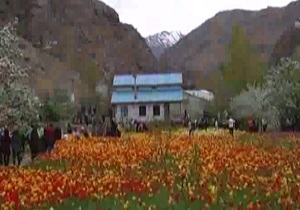 عبور از چهارمین جاده زیبای جهان/در باغ لاله‌ها سلفی بگیرید