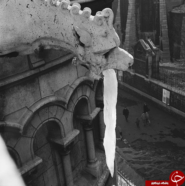 تصاویر طنزآمیز از خیابان های فرانسه در دهه 1950