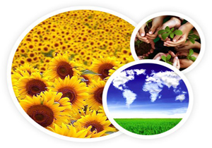 اجرای طرح های توسعه محیط زیست در فارس