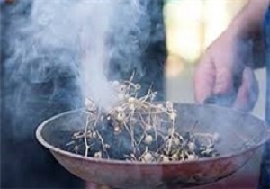 اسپند، ضدعفونی‌کننده هوا و دور کننده حشرات