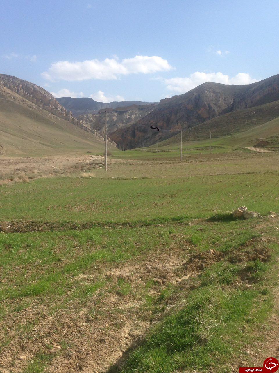 طبیعت دل&zwnj;انگیز در علیخان قلعه + تصاویر