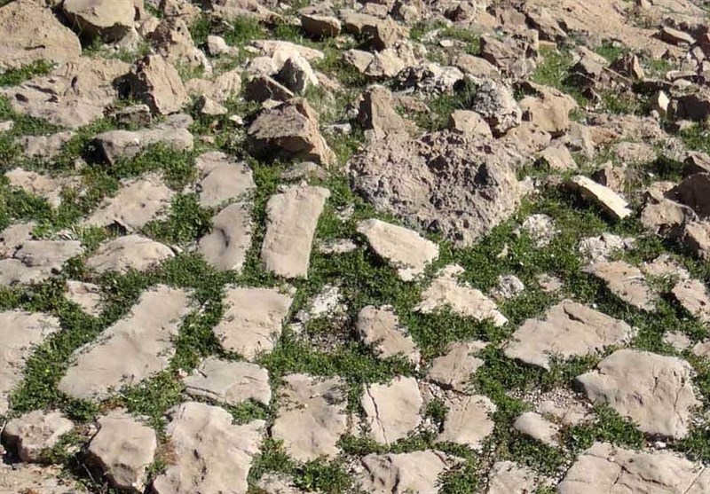 کشف سنگفرش 1800 ساله یک کیلومتری از جنس لاشه در ایران +تصاویر