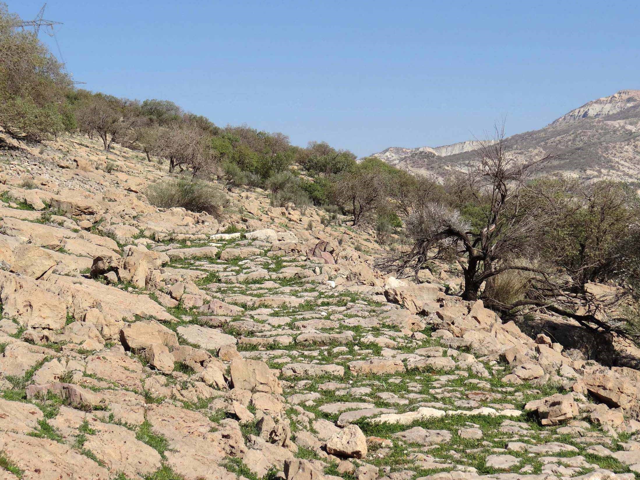 کشف سنگفرش 1800 ساله یک کیلومتری از جنس لاشه در ایران +تصاویر