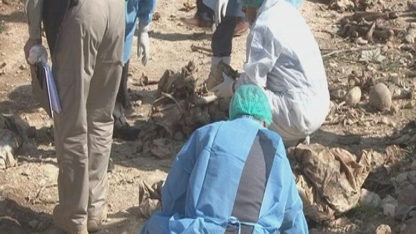 کشف گور دسته جمعی با بیش از 1600 جسد ایزدیان عراقی در سنجار