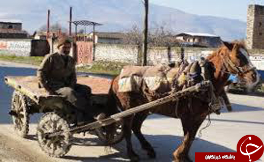 چرخ تنها ارابه ران  بندر از حرکت ایستاد