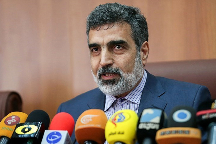 کمالوندی: از همین امروز می&zwnj;توانیم سانتریفیوژهای IR8 را به تولید انبوه برسانیم