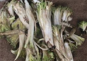 برداشت و مصرف انواع گیاهان خوراکی بهاری در کرمانشاه