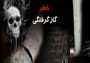 گاز گرفتگی 30 تن در روستای لوشکان تاکستان