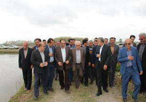 آغاز نشاء مکانیزه برنج در مازندران