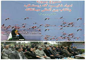 آغاز اجرای طرح احیاء تالاب بین المللی میانکاله