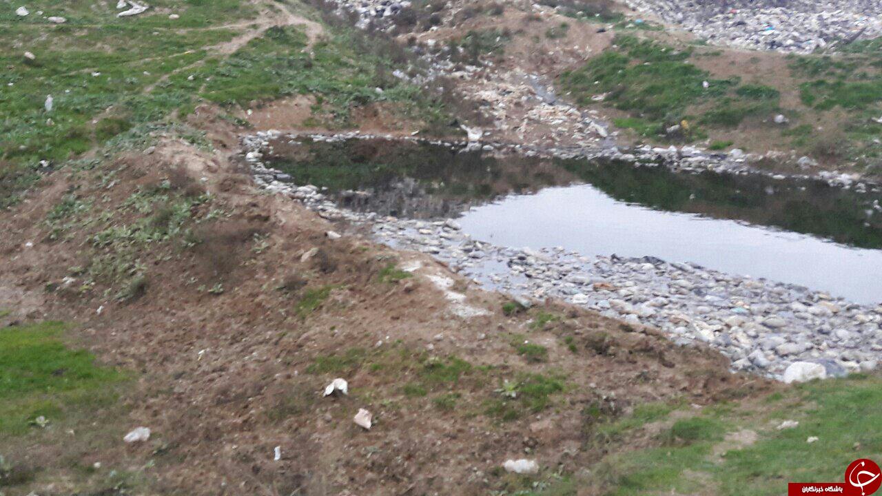 دپوی زباله در مزارع کشاورزی + تصاویر