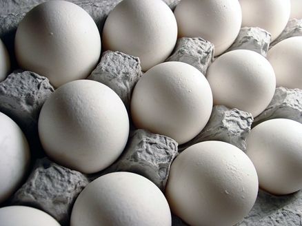 قیمت کاذب تخم مرغ چه زمانی می شکند؟/مقاومت در برابر تعدیل نرخ  ادامه دارد