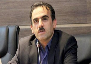فعالیت تاکسی‌های اینترنتی رقابت ایجاد کرده است/ افزایش اشتغالزایی با استفاده از نرم افزارهای مجازی
