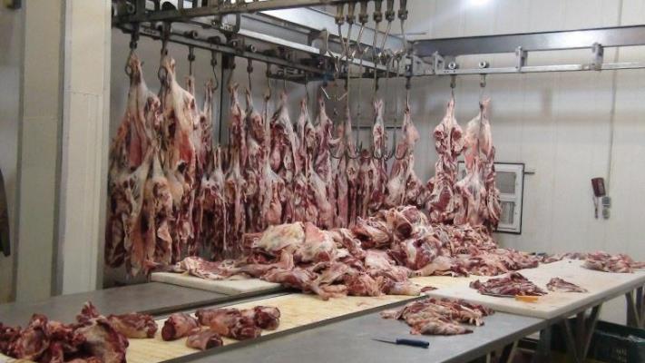 ضبط و معدوم&zwnj;سازی 92 تن لاشه گوشت غیربهداشتی در همدان