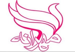 30 هزار زنجانی خیر مهرانه هستند