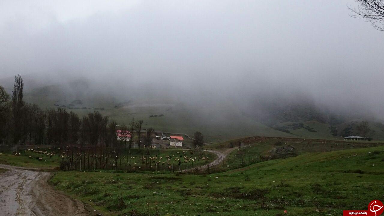 نمایی متفاوت از طبیعت زیبای کلاردشت + فیلم