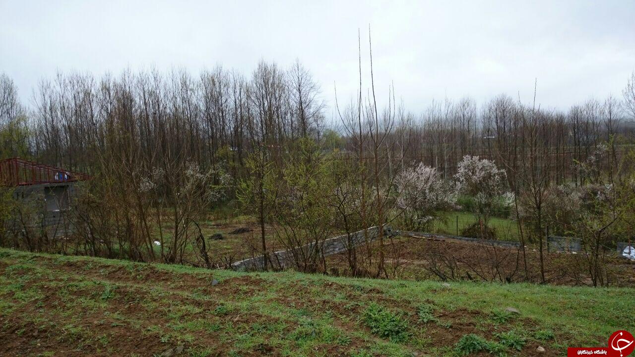 نمایی متفاوت از طبیعت زیبای کلاردشت + فیلم