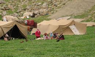 عشایر نیمه اردیبهشت وارد همدان می&zwnj;شوند