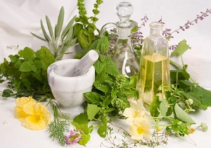 نقش مهم گیاهان دارویی در اشتغالزایی پایدار و مفید