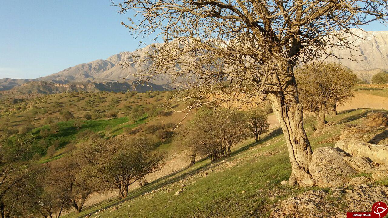 رشته کوه دنا در قاب تصویر
