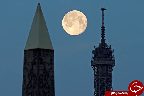 تصاویر روز: از پرواز با بوئینگ 77 ساله تا خرس آزاد شده از موصل