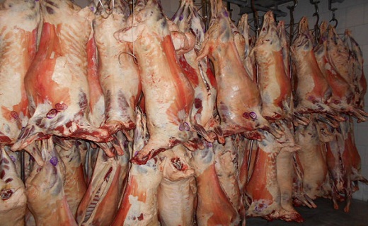 نگاهی به پر بیننده ترین اخبار روز گذشته در سمنان