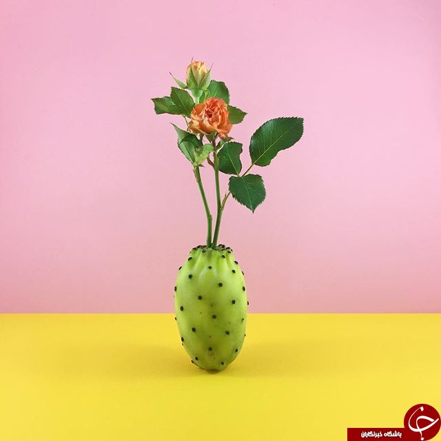 مجسمه های زیبا از میوه ها و سبزیجات+تصاویر