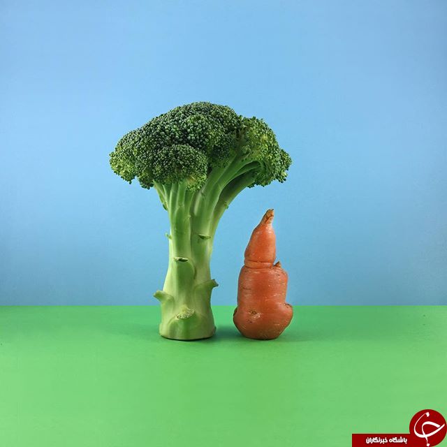 مجسمه های زیبا از میوه ها و سبزیجات+تصاویر