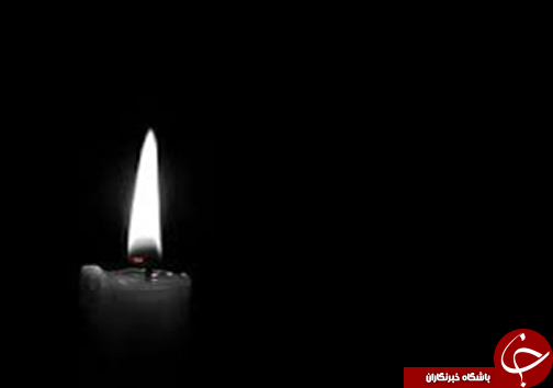 از تولد نخستین گوساله گوزن زرد ایرانی تا حریق خودرو تریلی