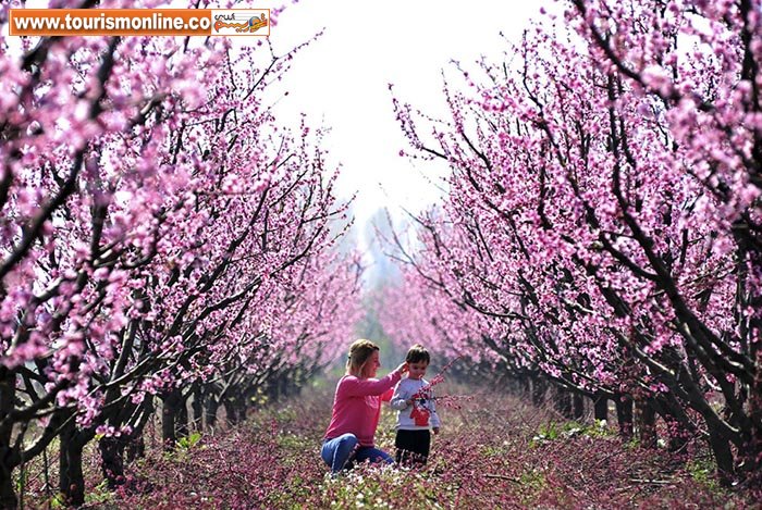 پربیننده ترین عکس های خبریِ هفته ای که گذشت