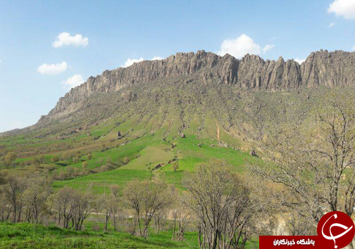 منطقه حفاظت شده سفیدکوه خرم&zwnj;آباد مامن 138 گونه جانوری + تصاویر