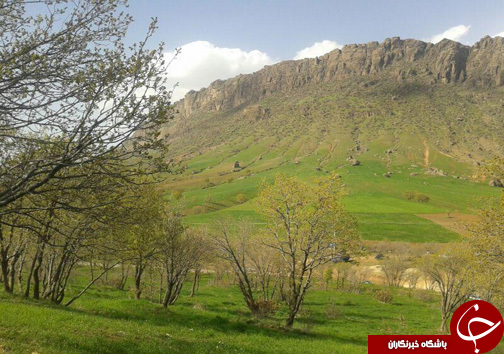 منطقه حفاظت شده سفیدکوه خرم&zwnj;آباد مامن 138 گونه جانوری + تصاویر