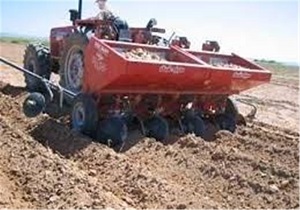 آغاز کشت محصول سیب‌زمینی به صورت مکانیزه در اردبیل