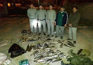 کشف 200 قطعه ماهی از صیادان متخلف در شهرستان پارس آباد